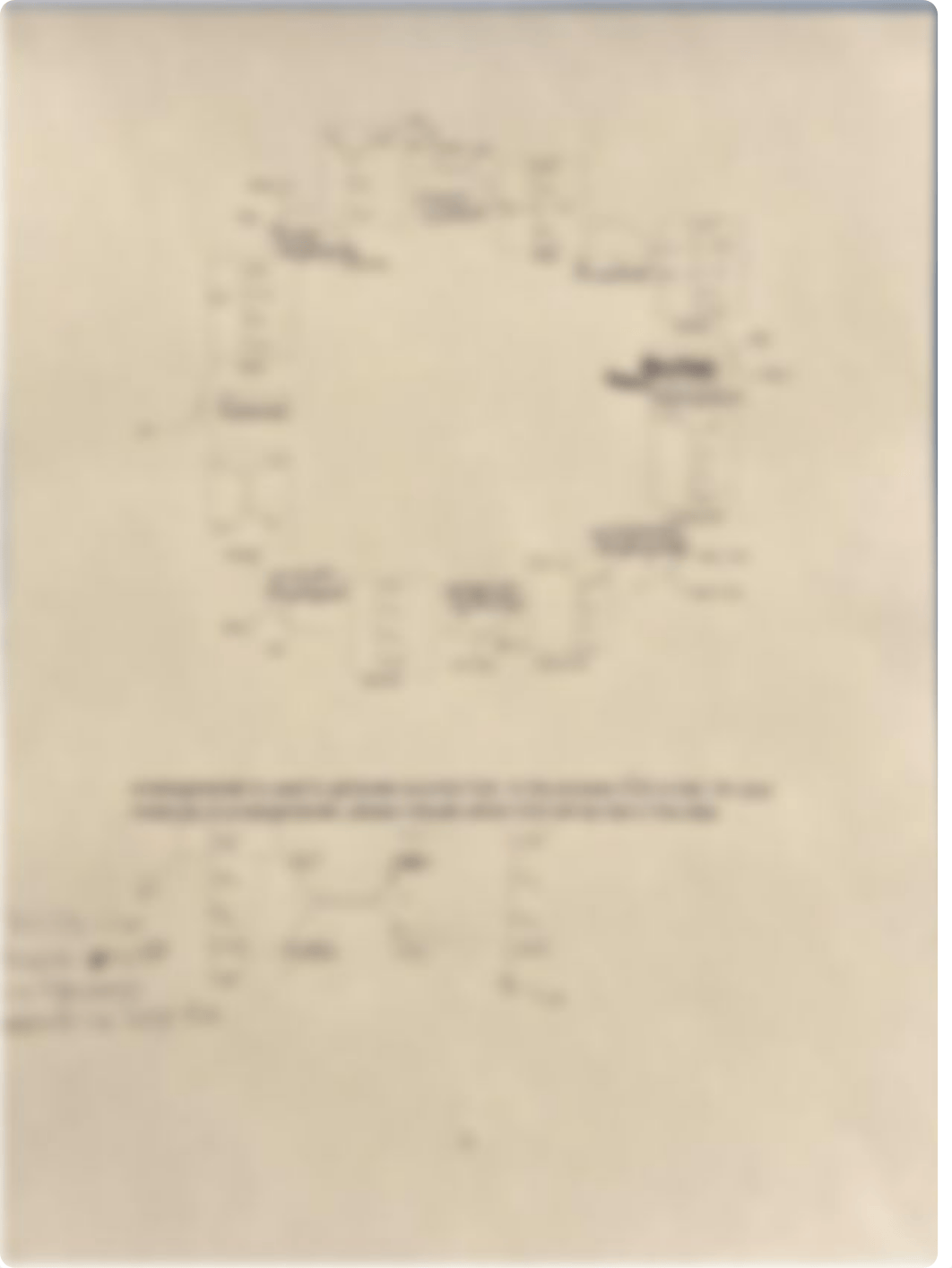 Basic Concepts Worksheet 5.1.pdf_dj80g61i4n1_page1