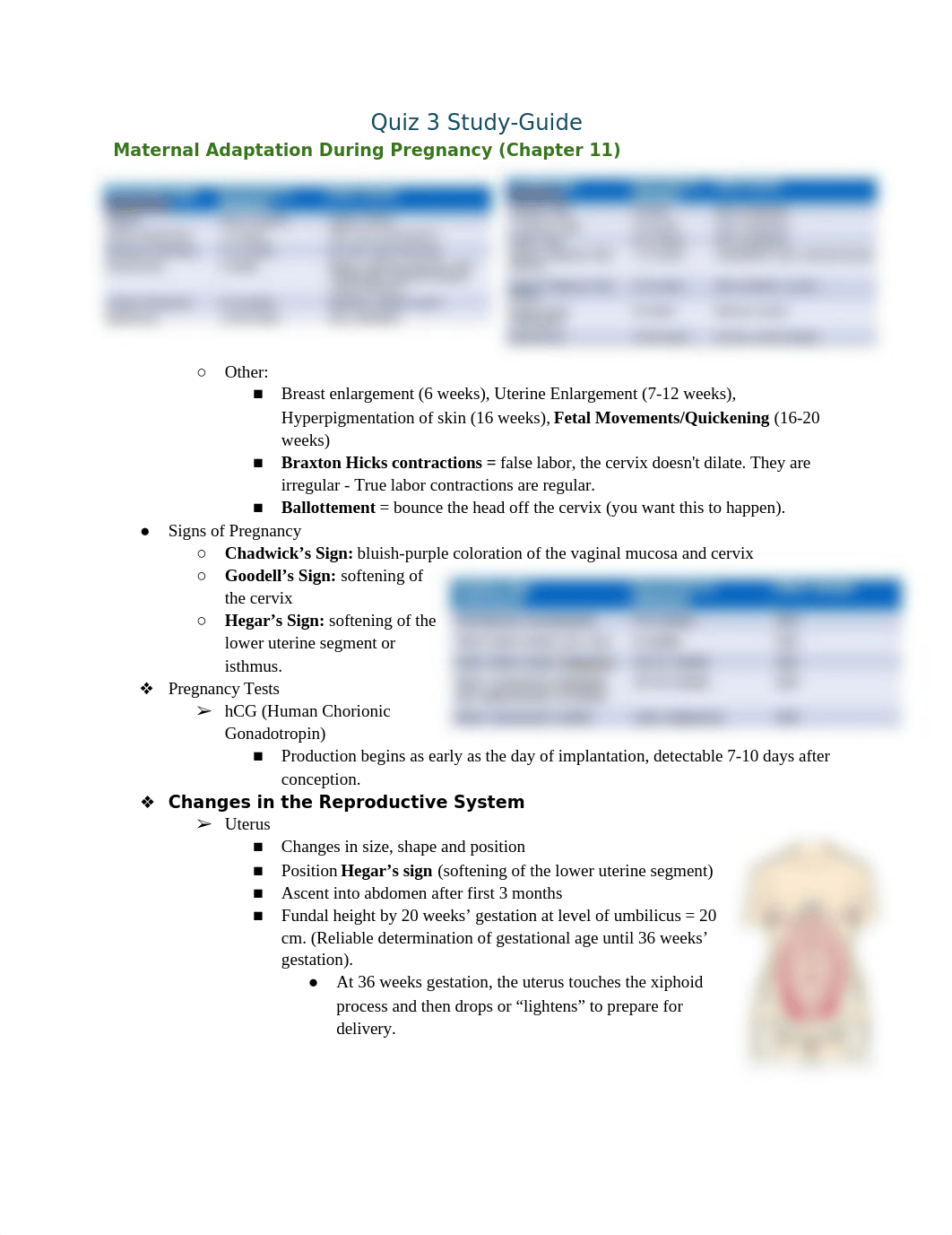 Quiz 3 Study-Guide.docx_dj82qbs5m9g_page1