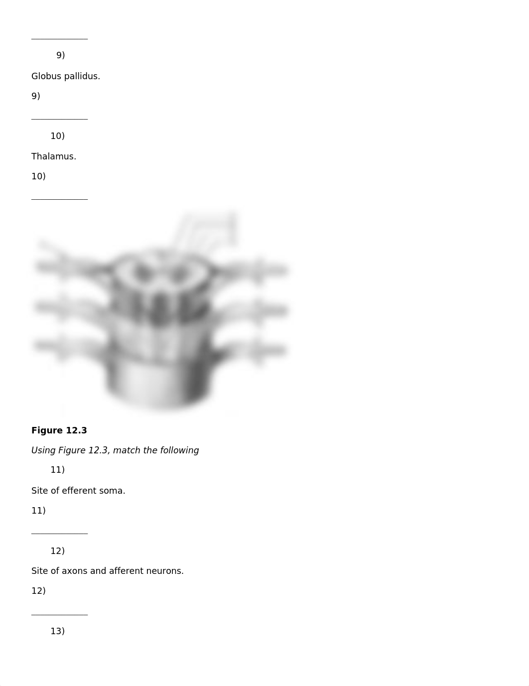 12 chapter tb_dj8cykru4nu_page3