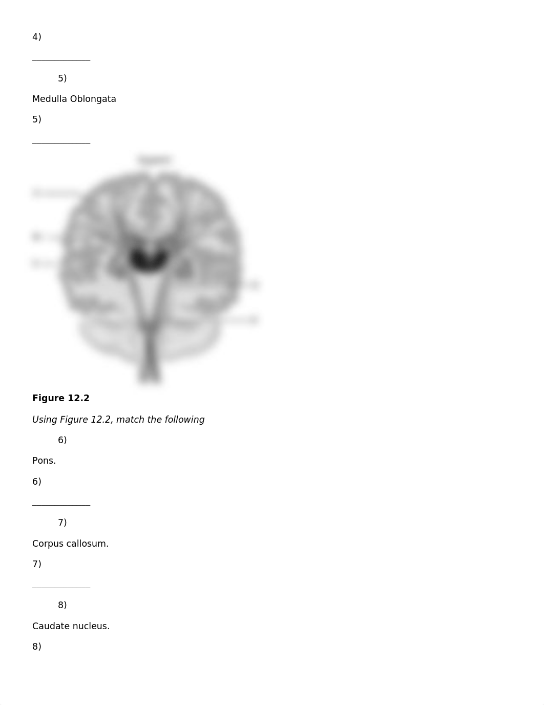 12 chapter tb_dj8cykru4nu_page2