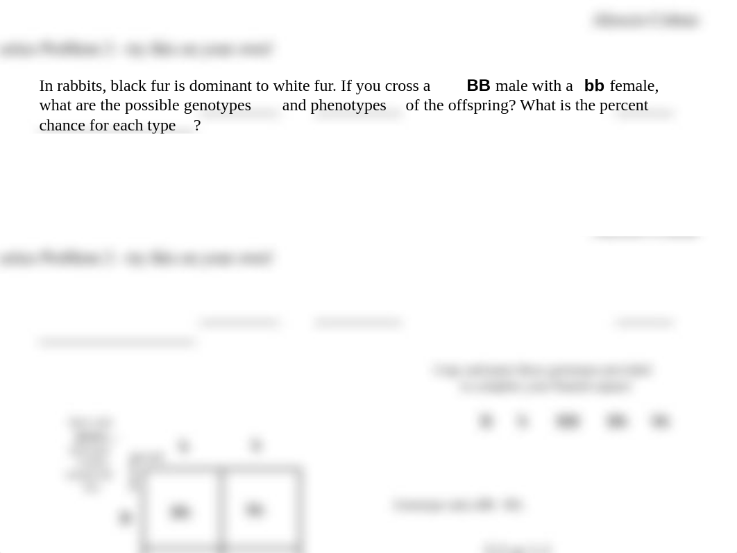 Punnet square Practice assignment.pptx_dj8hz440b0w_page2