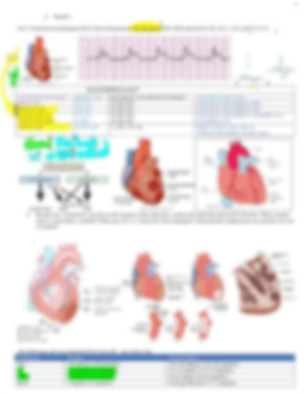 CAD - Angina - MI unfolding Case studies Bonilla.docx_dj8ikv7axkh_page3