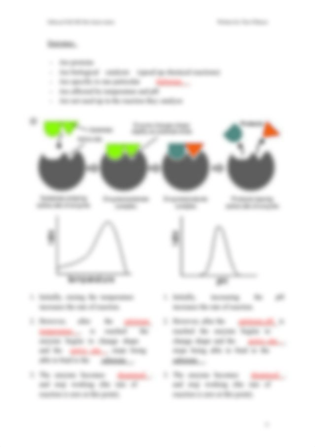 Edexcel IGCSE Notes Section 2- Structures and Functions in Living Organisms.pdf_dj8j0volxep_page5