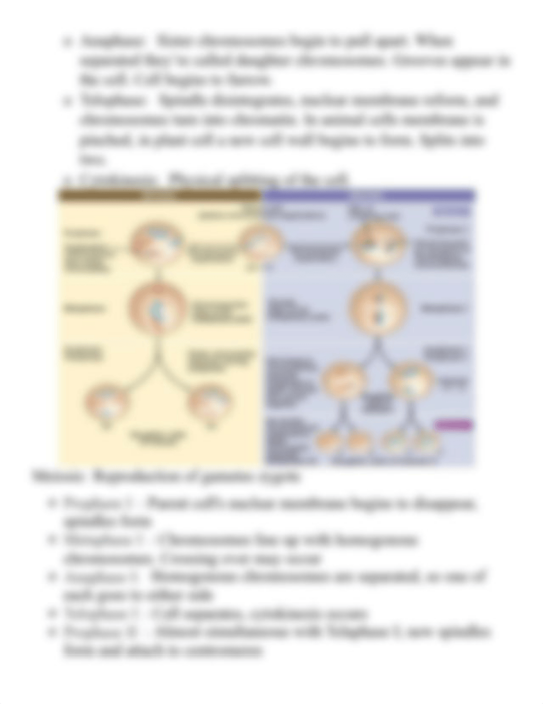 ATI_TEAS_6_EXAM_STUDY_GUIDE.pdf_dj8jo7l1n6b_page4