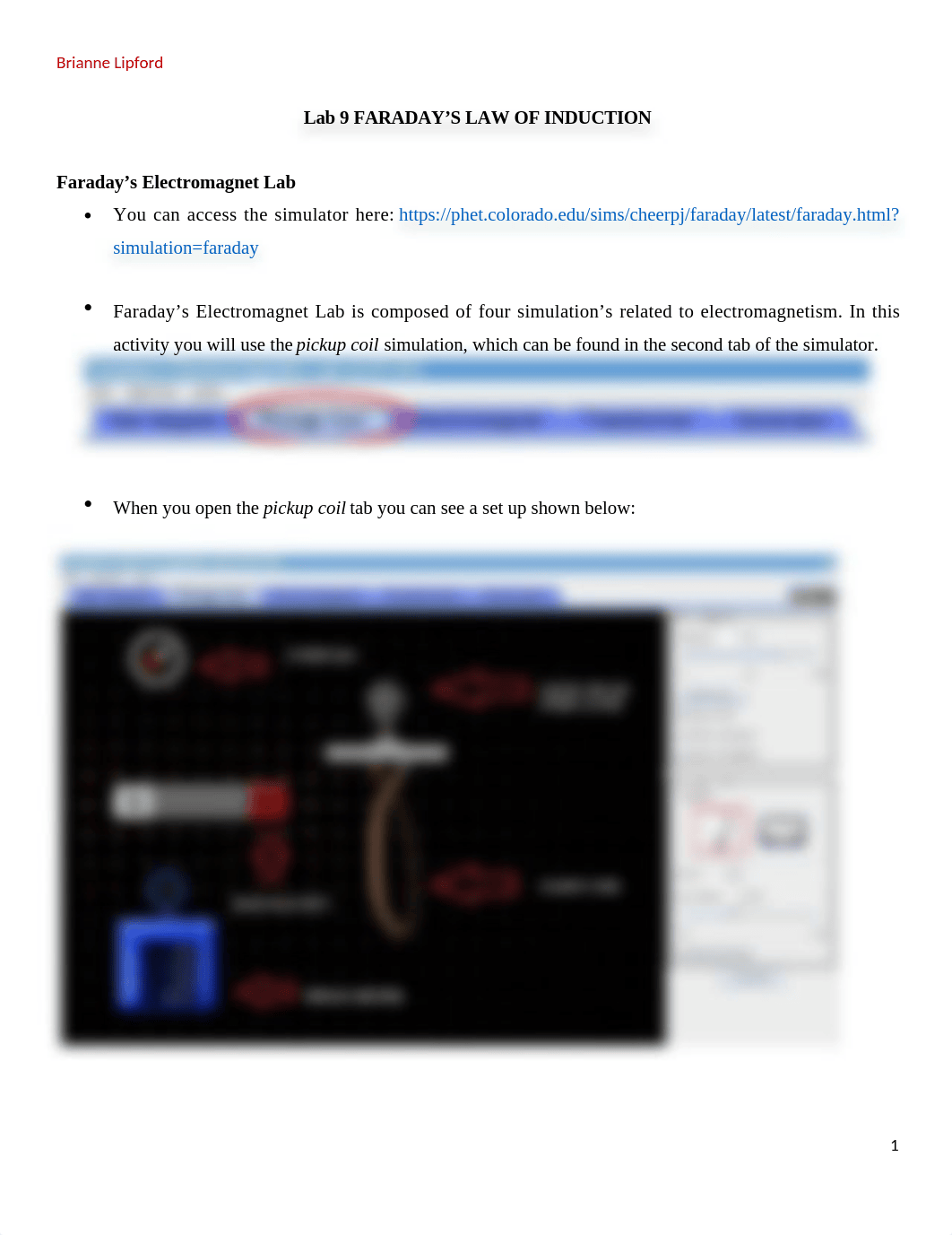 Lab 9 Faraday's Law.docx_dj8mm5zjqgd_page1