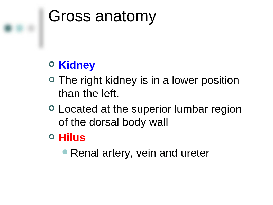 Chapter 43 Anatomy of the Urinary System_dj8r8rv5cl1_page4