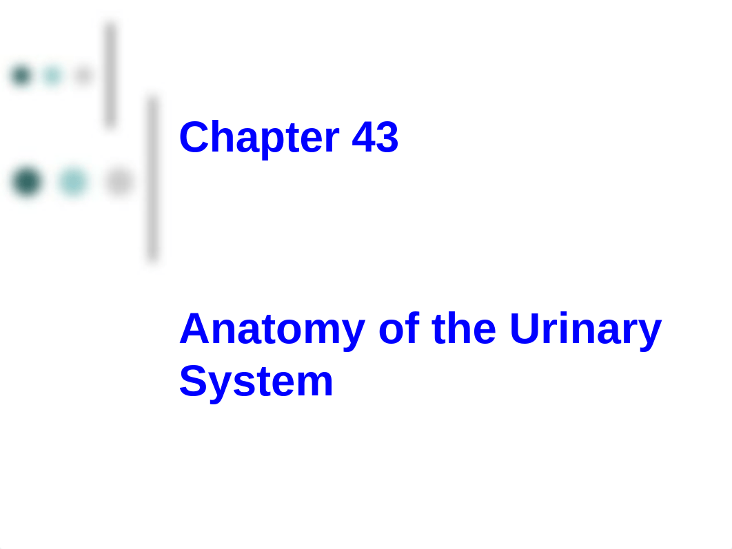 Chapter 43 Anatomy of the Urinary System_dj8r8rv5cl1_page1