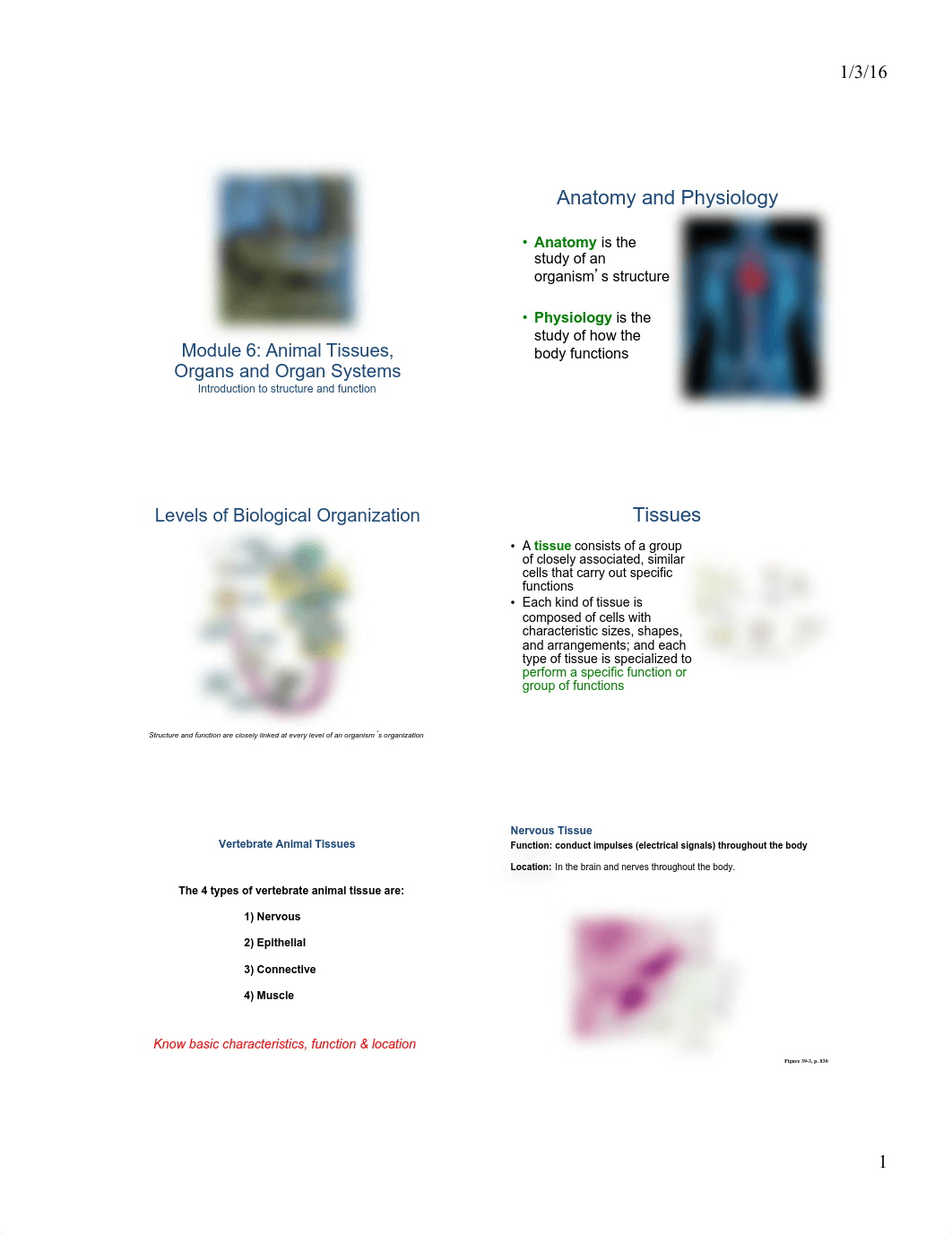 1240 Module 6 PPT Handouts_dj8rtisqmee_page1