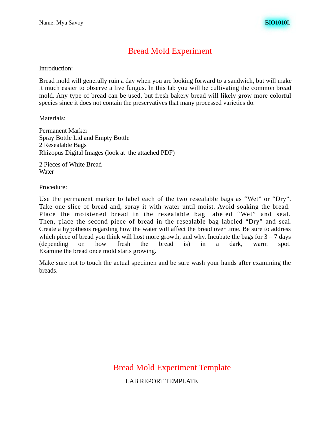 Bread Mold Template.docx_dj8vgo0or45_page1