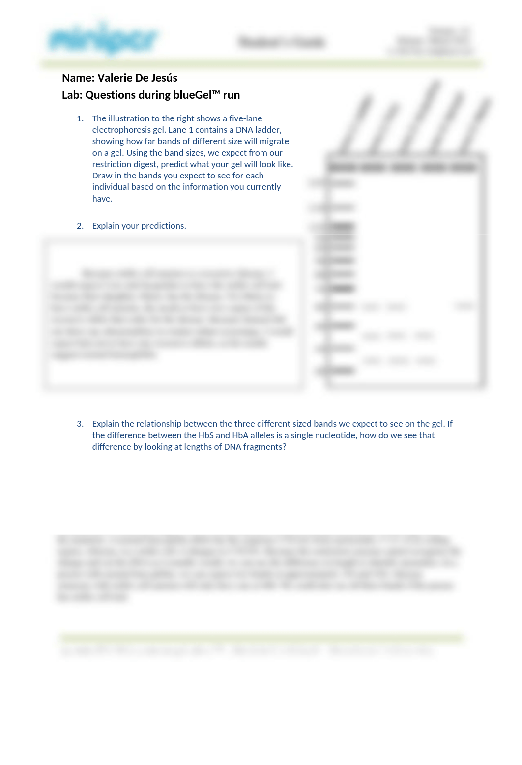 Sickle Cell Post-Lab.docx_dj90ggivcvu_page1