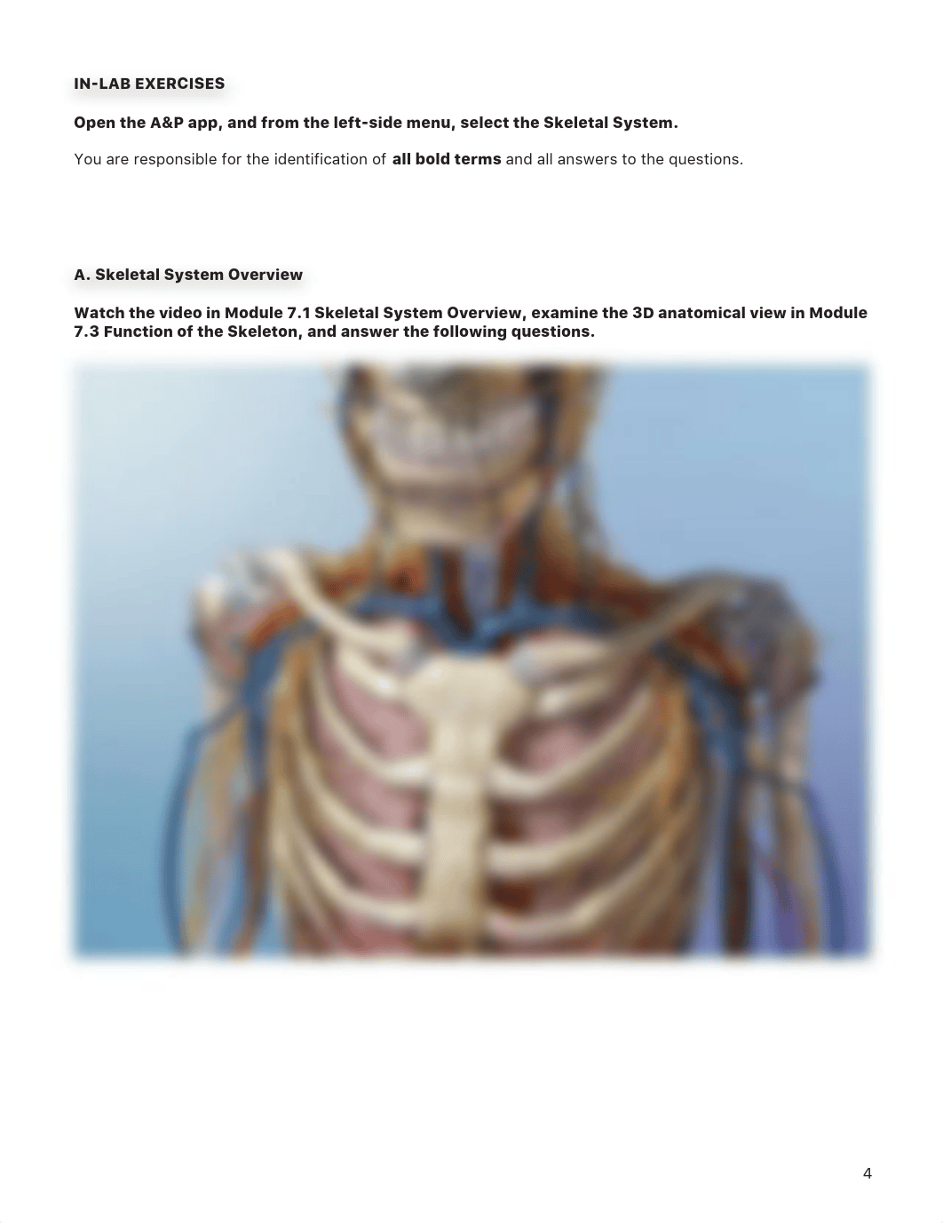 lab manual_axial skeleton_a+p.pdf_dj91zghk6e4_page4