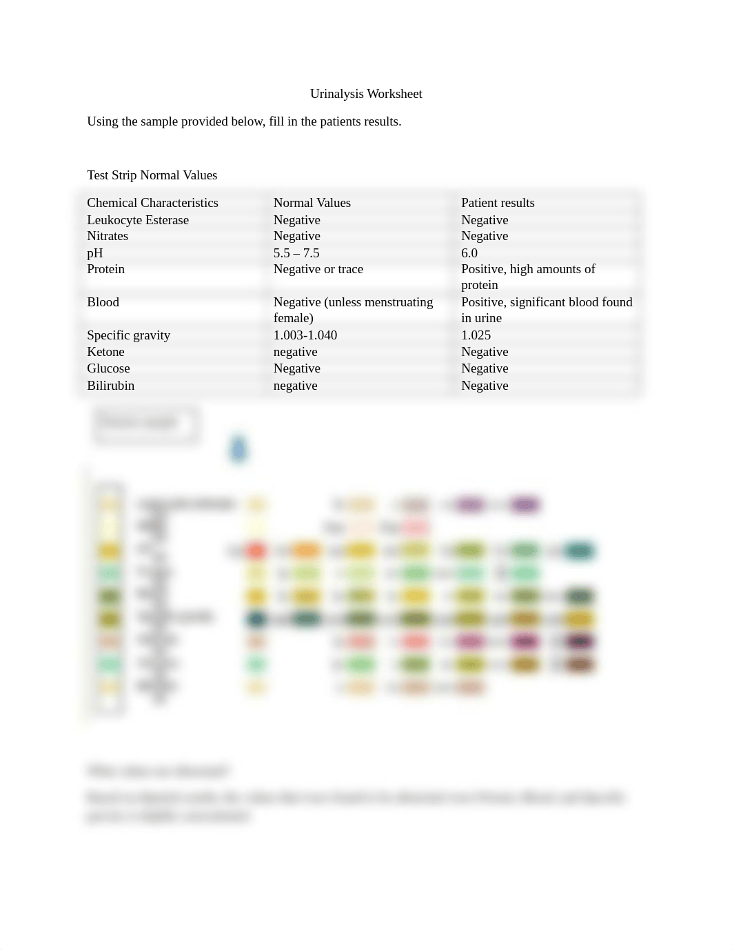 Urinalysis Worksheet Complete.docx_dj96oo4tudn_page1