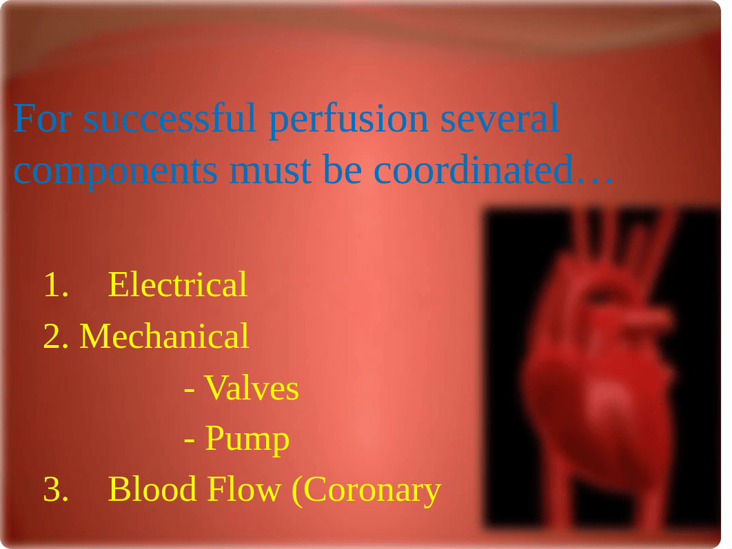 EKG's - A Basic Understanding PA college lecture.pptx_dj9a5u6ypkp_page3