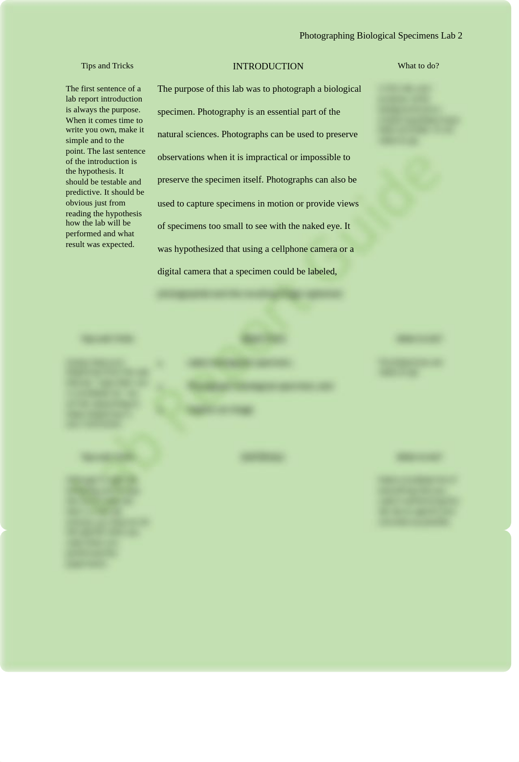 BIO 200 Lab 2 Report Guide Photographing Biological Specimens.pdf_dj9c8fpxvm1_page2