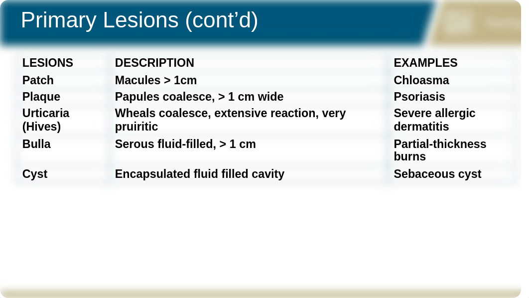 Derm presentation.pptx_dj9dhehufd5_page5