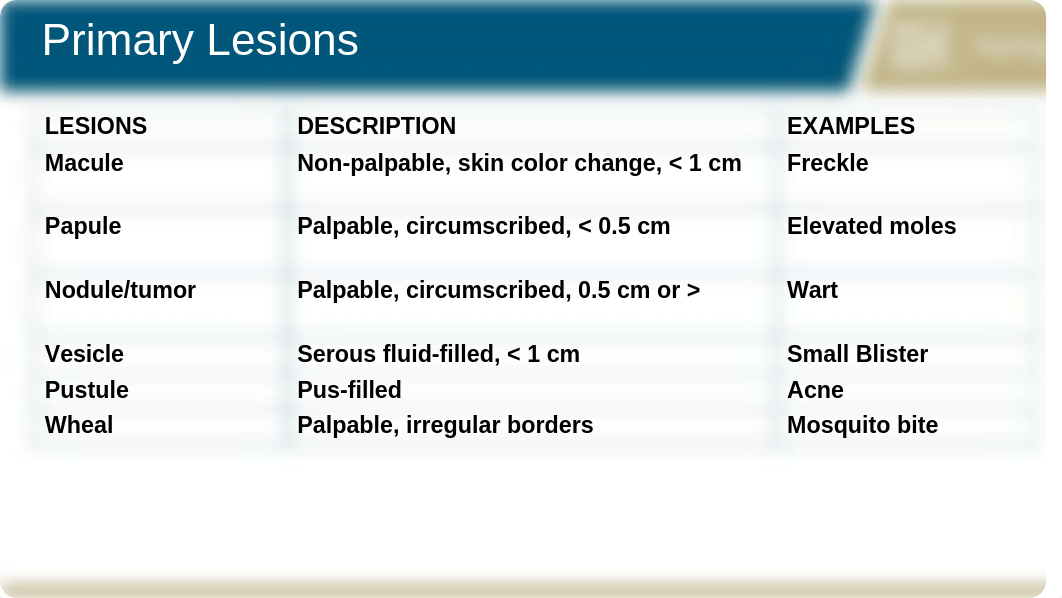 Derm presentation.pptx_dj9dhehufd5_page4