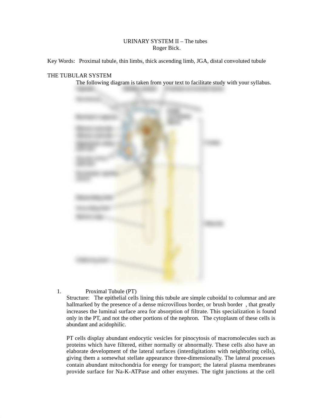 2010 URINARY SYSTEM II Complete +lab_dj9gd0wg7rh_page1