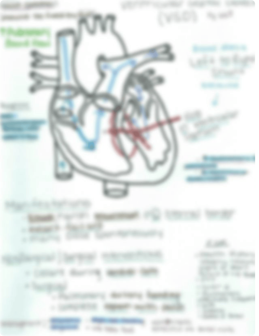 ventricular septal defect_dj9jfqfy6db_page1