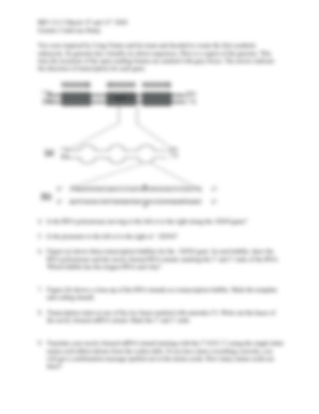 GeneticCode_CaseStudyHandout.docx_dj9o93xpjai_page2