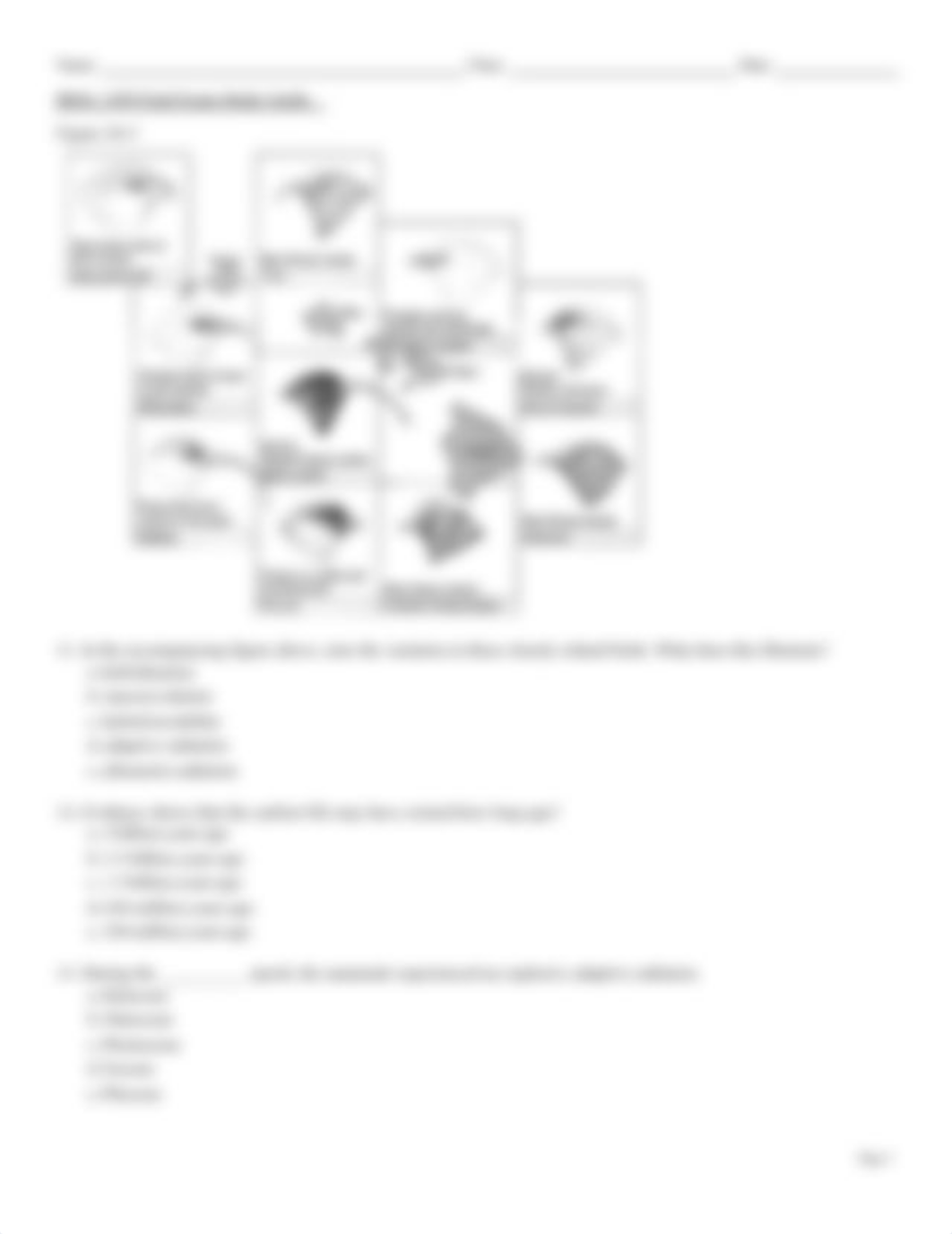 BIOL 1309 Final Exam Study Guide.pdf_dj9q0dyiv35_page3