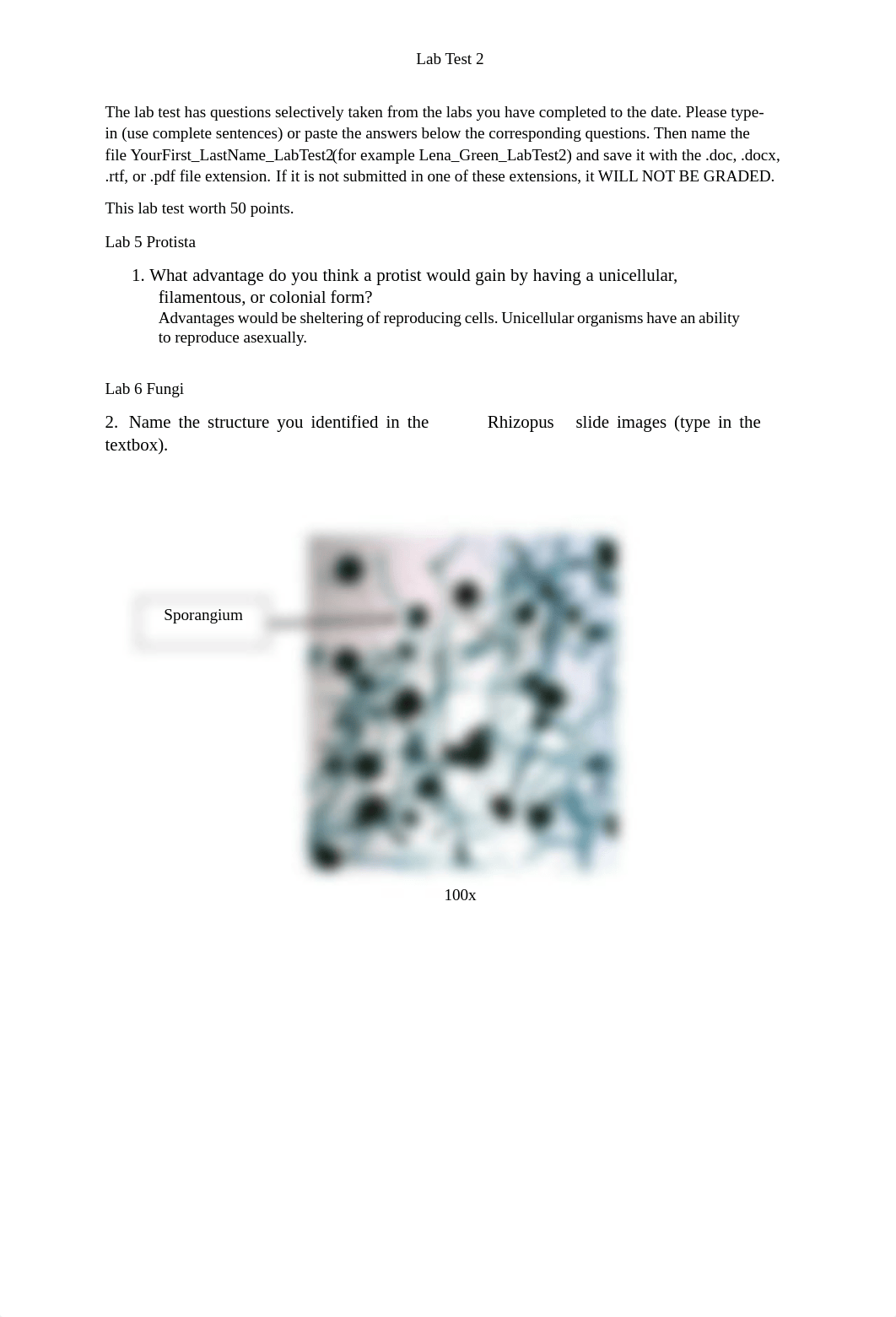 BIO 101_Lab Test 2.pdf_dj9tm1zy3nh_page1