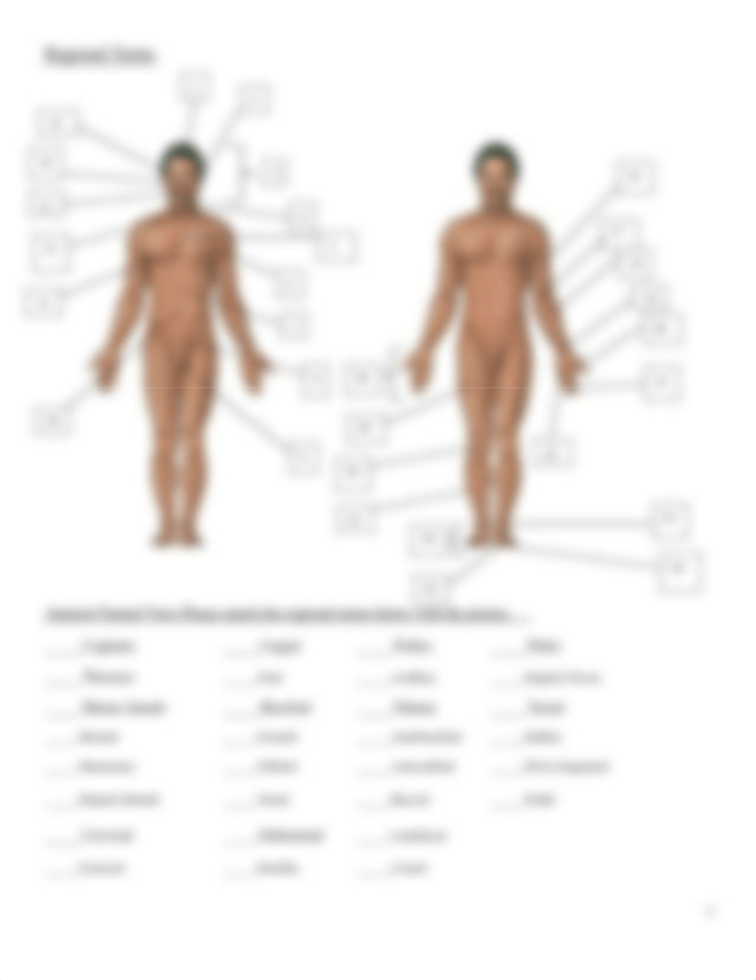 Lab 2-Anatomy and Physiology I Lab Worksheet.pdf_dj9xj6sytvr_page3