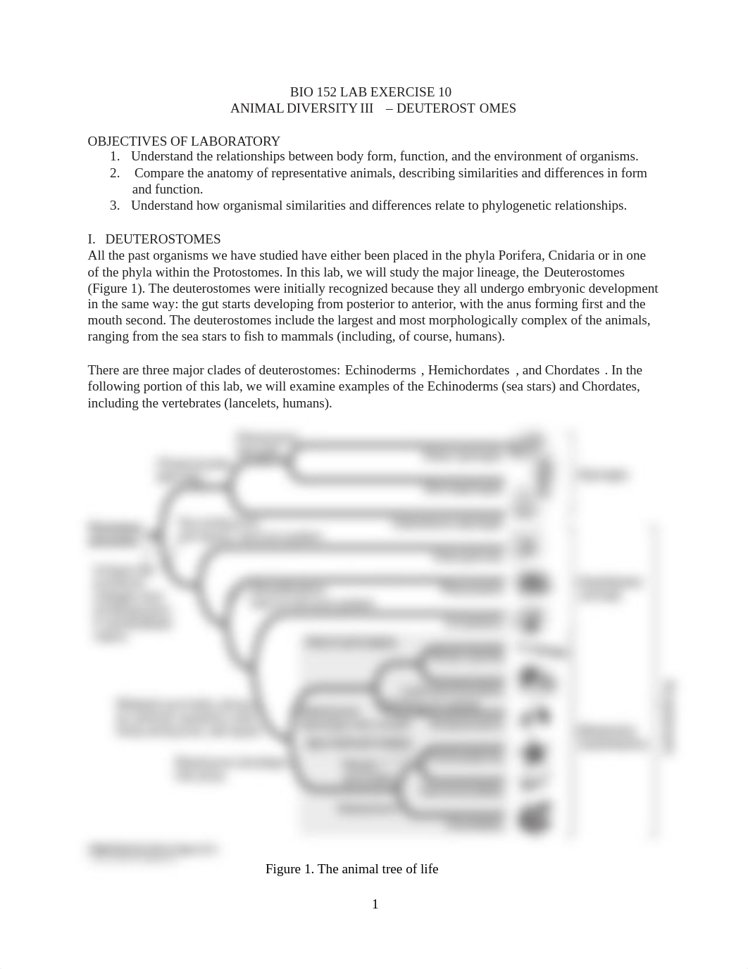 BIO 152 Lab Exercise 10 - Animal Diversity III.pdf_dja5fhe8vpz_page1