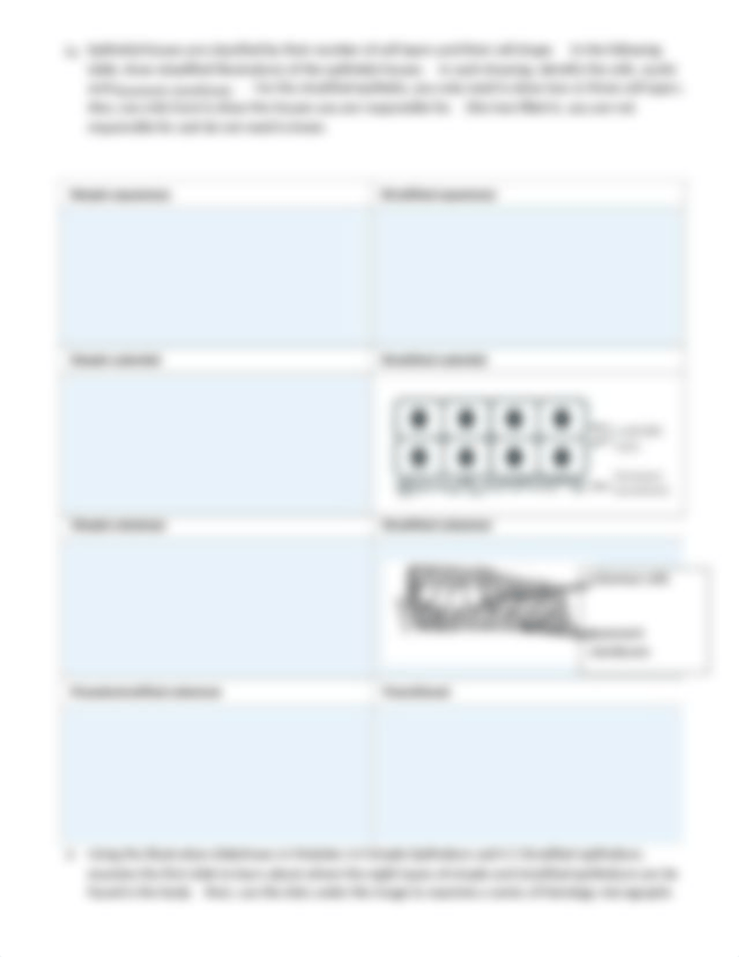 Tissue worksheet-handout F 2020 (1).docx_djafxoro2on_page3