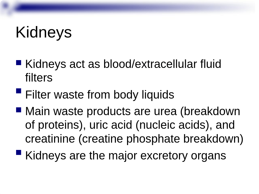 Urinary Physiology Condensed-2.ppt_djazs7m4w2o_page2