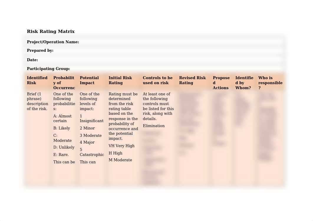 Risk Rating Matrix.docx_djb08ql96st_page1