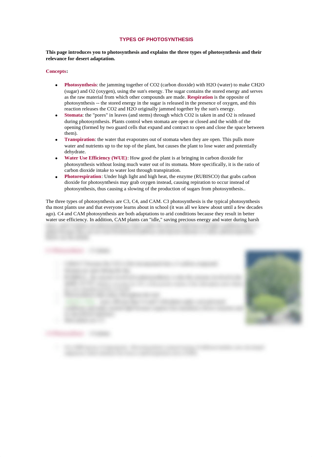 06 - TYPES OF PHOTOSYNTHESIS_djb9945rwxy_page1