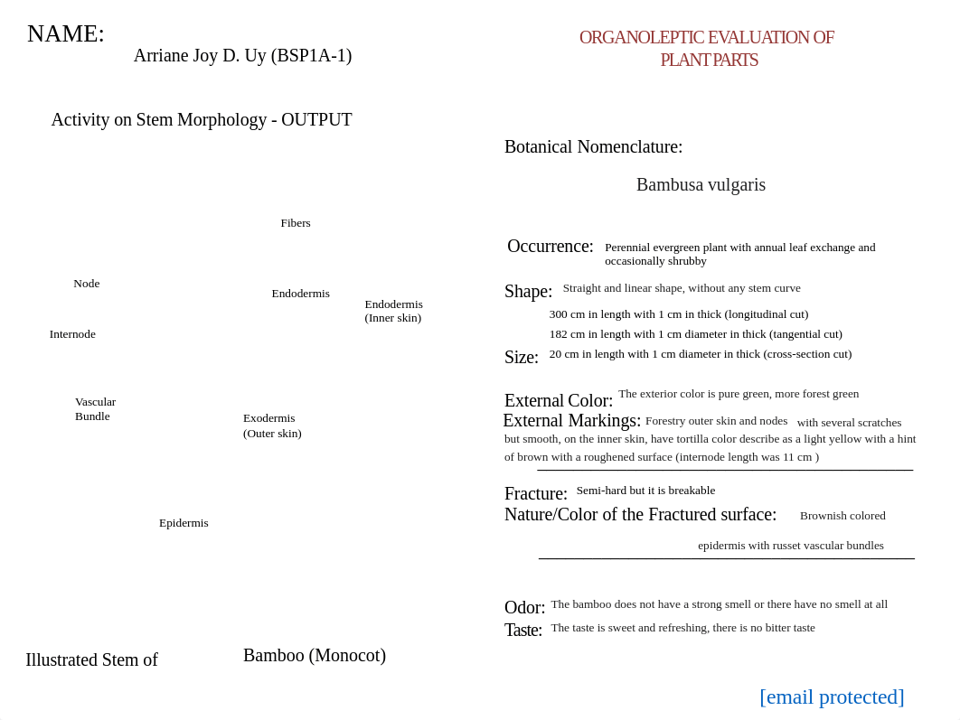 Uy, Arriane_BSP1A-1_ACTIVITY OUTPUT on STEM MORPHOLOGY.pdf_djbogwzrwj4_page1