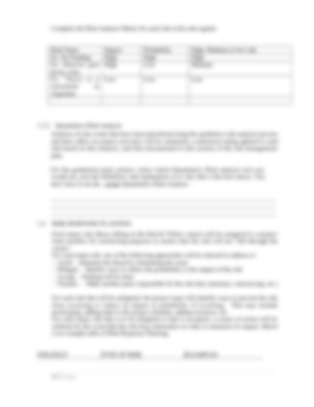 CH 11 Risk Management Plan Worksheet (3).doc_djbqmmjn4vf_page4