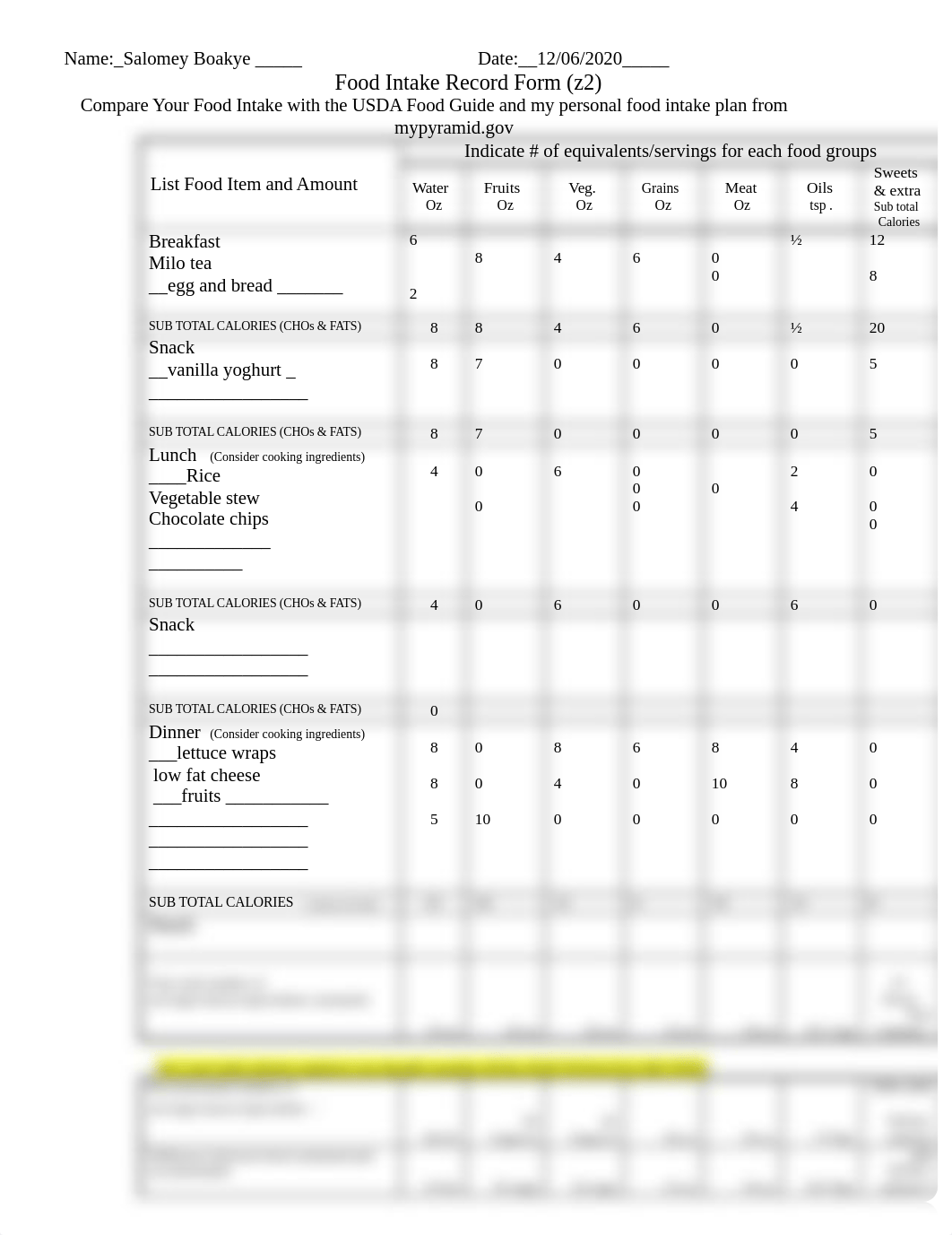 Form Z2, Food Intake Record(2)[461].docx_djbrmroansk_page1