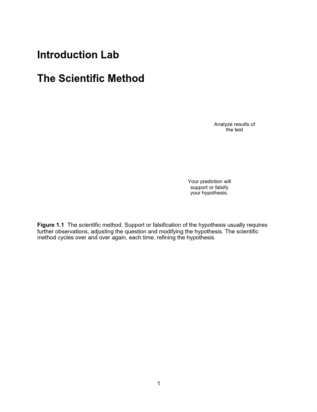 The Scientific Method Lab.pdf_djbrwqb0lux_page1