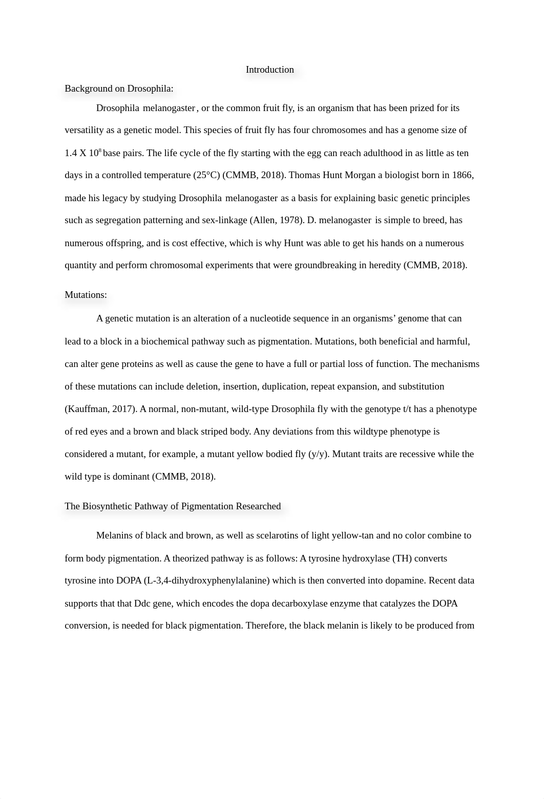 Analysis of the yellow Gene Mutation in Drosophila M.docx_djbx8m1avb4_page2