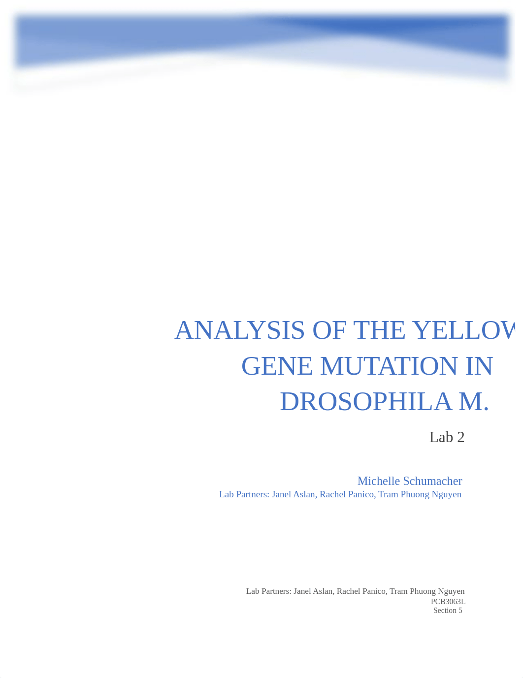 Analysis of the yellow Gene Mutation in Drosophila M.docx_djbx8m1avb4_page1