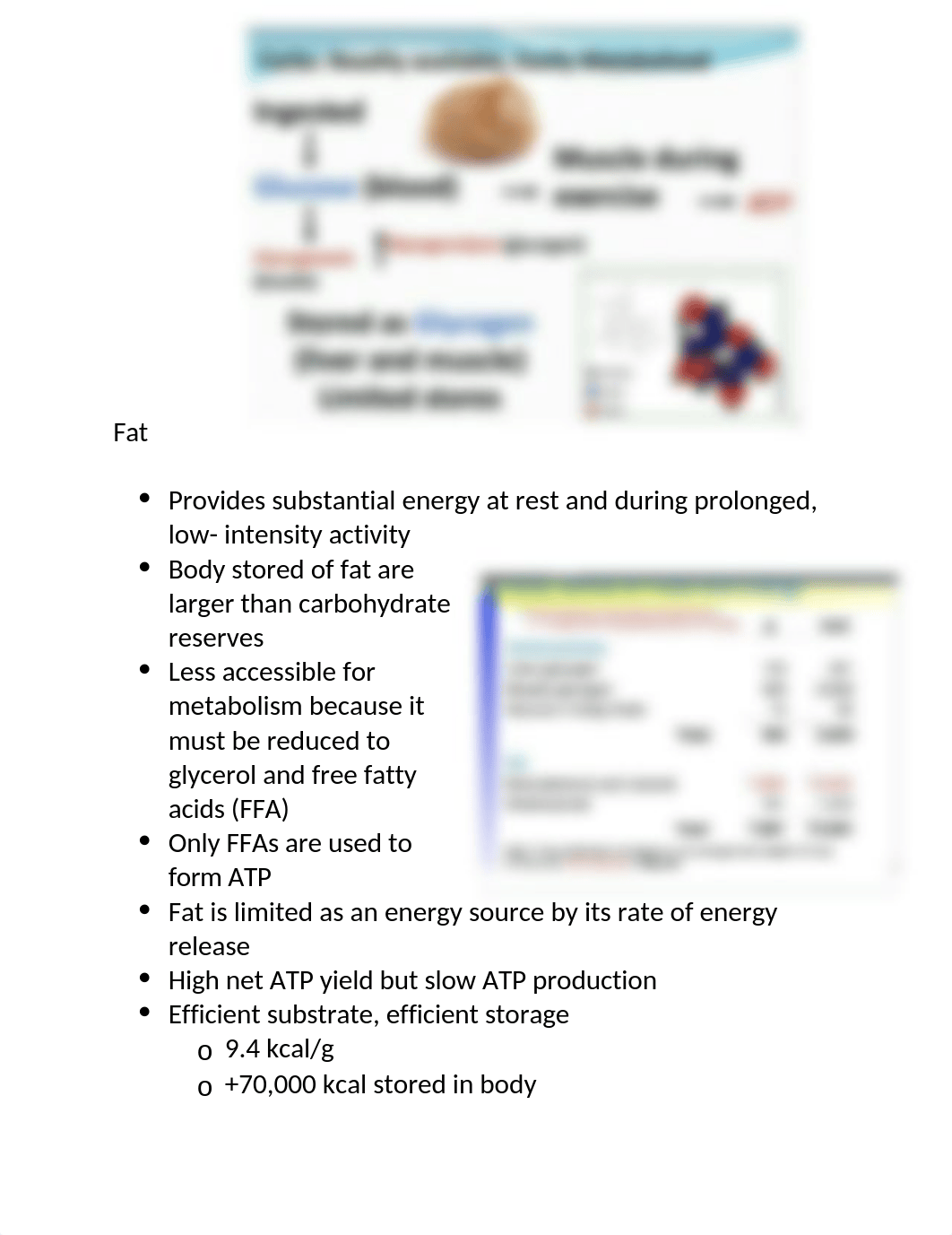 Exercise Physiology Test 1.docx_djc2nhq9y1h_page5