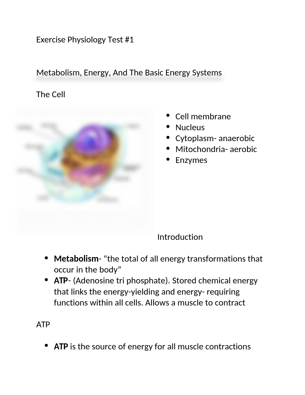 Exercise Physiology Test 1.docx_djc2nhq9y1h_page1