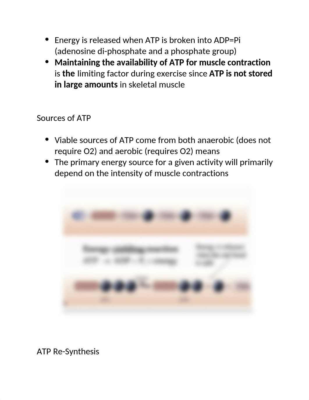 Exercise Physiology Test 1.docx_djc2nhq9y1h_page2