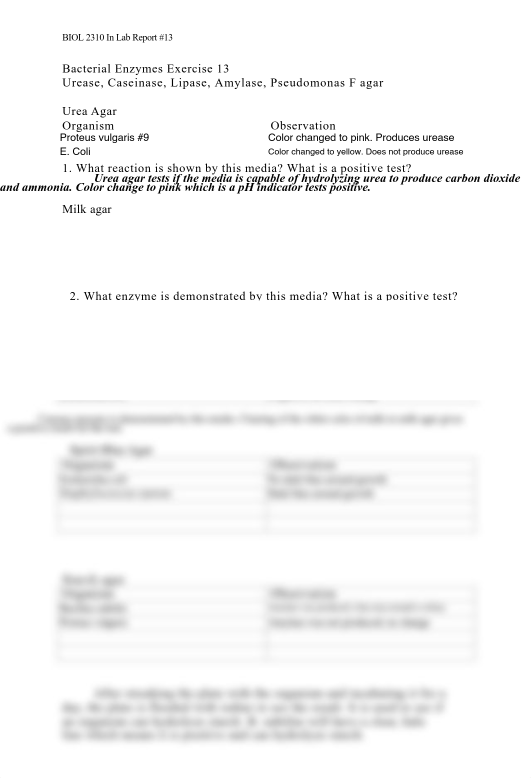 13. Ex 13 Bacterial Enzymes.pdf_djcbuntkfx9_page1