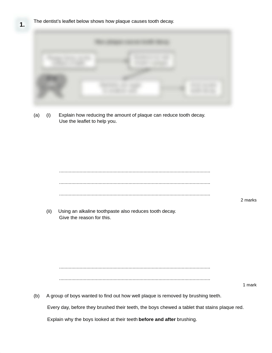 Microbiology L6 Q  .pdf_djcqnszvyx4_page1