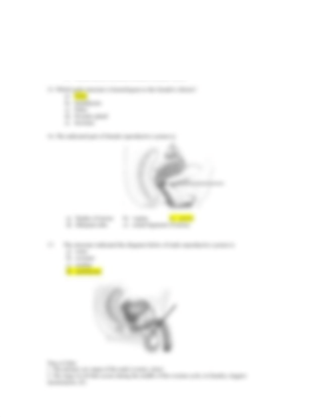 Endo Repro prep questions_djcs3nee1if_page3