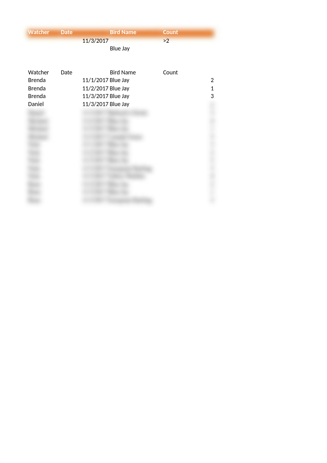 Bird Watcher.xlsx_djd0bt0l1hc_page3