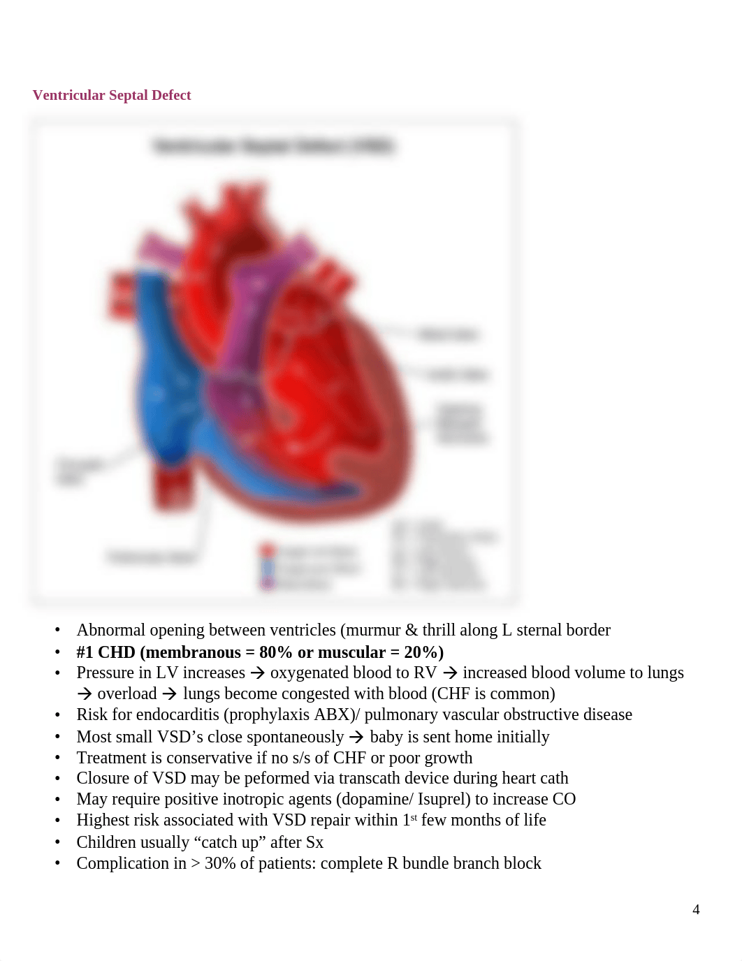 Peds - CardioVascular_Defects_djd66kz41sa_page4