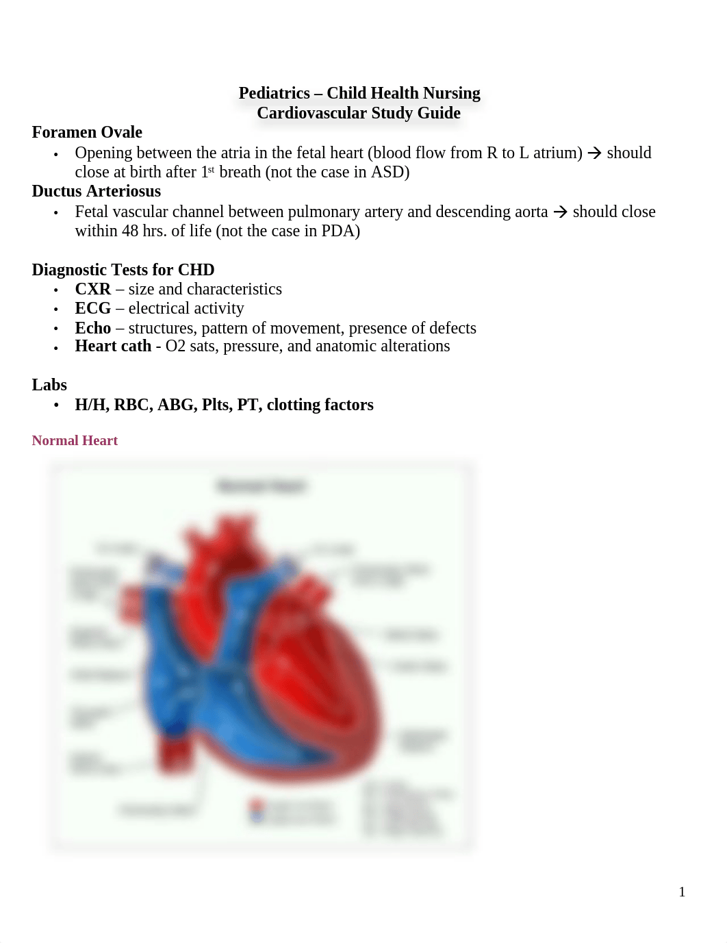 Peds - CardioVascular_Defects_djd66kz41sa_page1