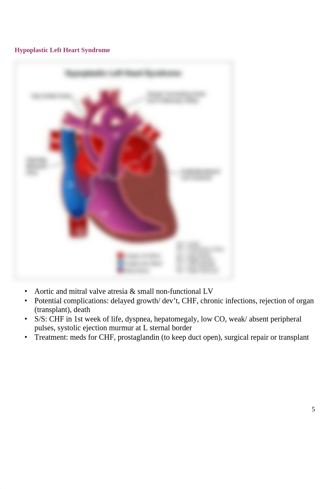 Peds - CardioVascular_Defects_djd66kz41sa_page5