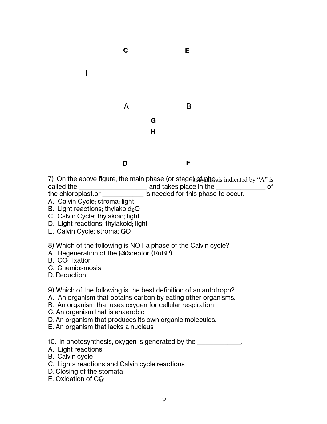 BIO101Exam#3-Practice-FA2017.pdf_djdh0ler0yz_page2