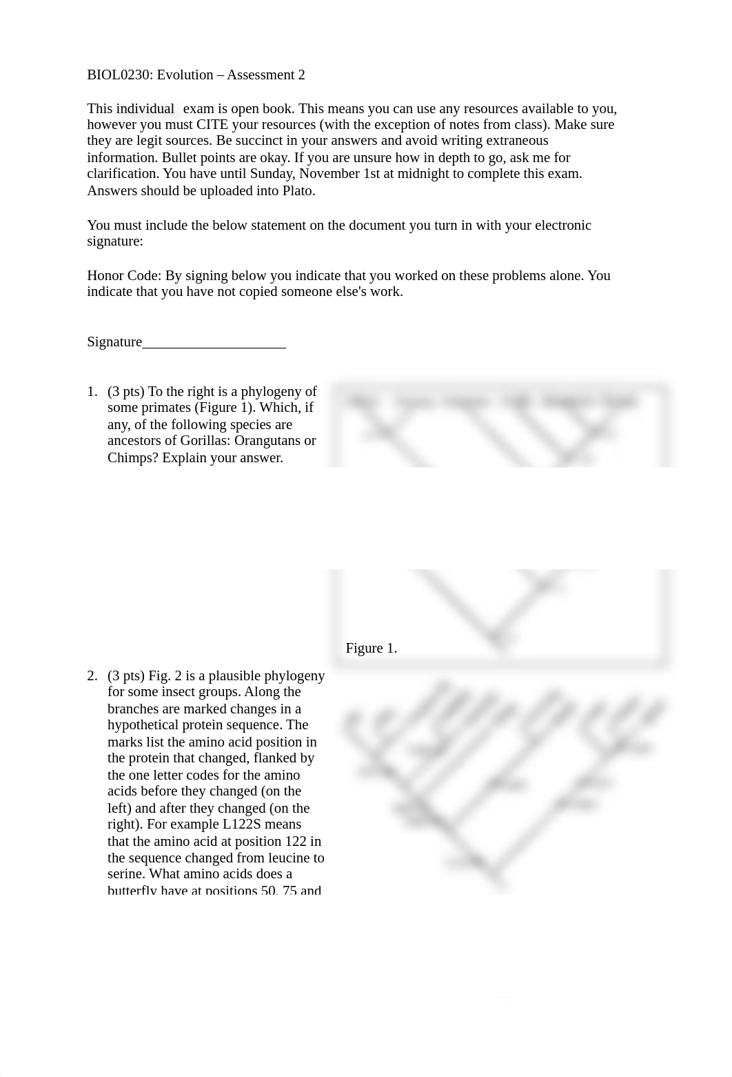 BIOL0230_Assessment2.docx_djdh2p5270r_page1