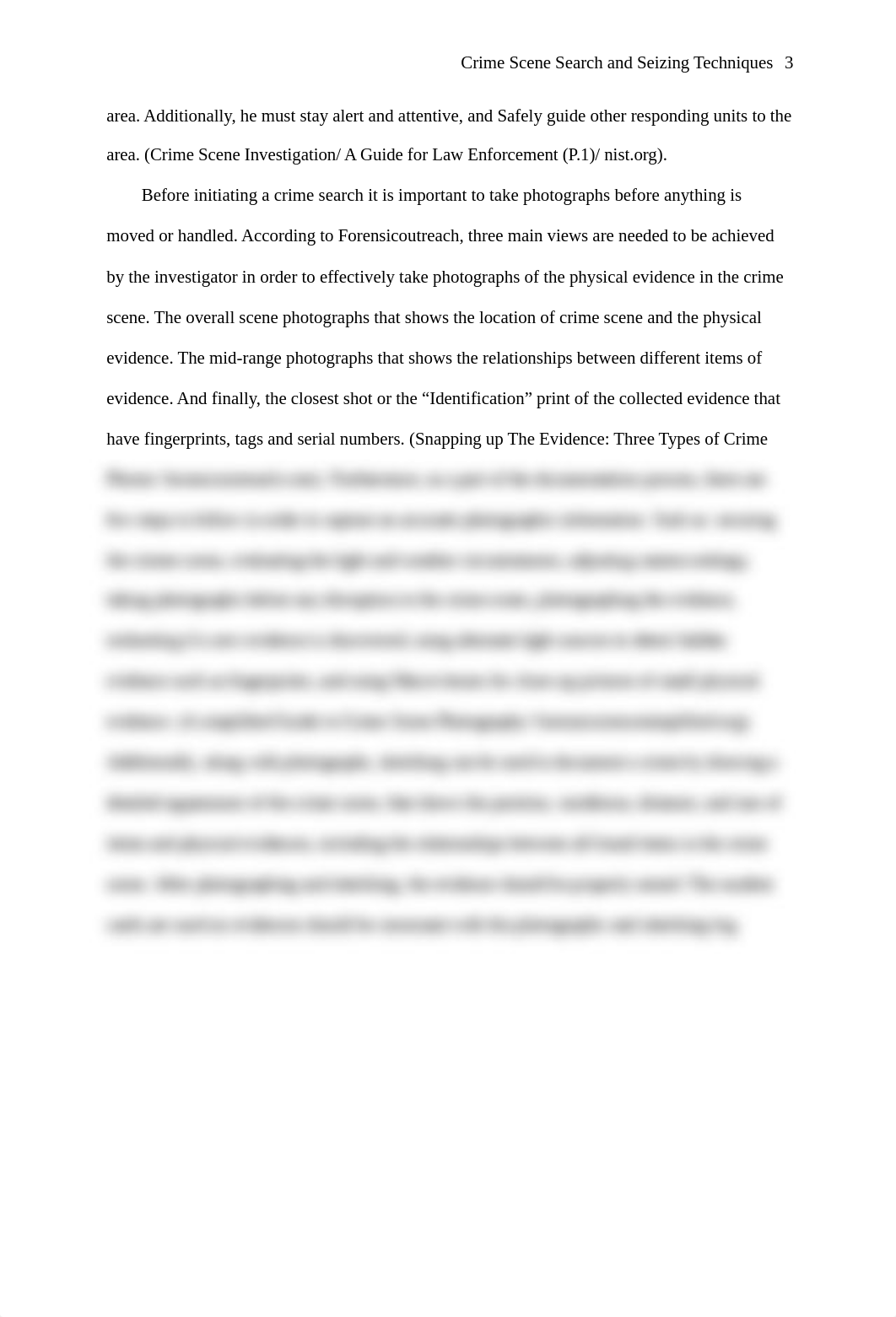 CIS 217 Project.doc_djdjwnwlsw4_page3